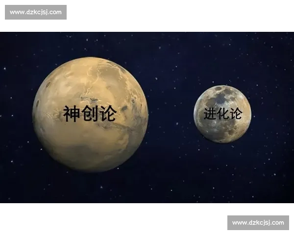 体育组织运作与决策优化的全过程管理体系研究